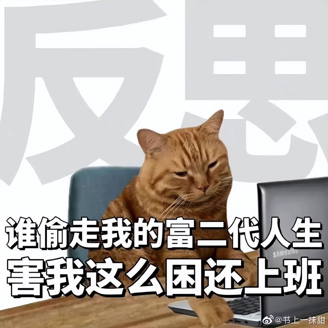 一抓头皮指甲里就有白泥怎么办,头皮一抓指甲里都是白泥