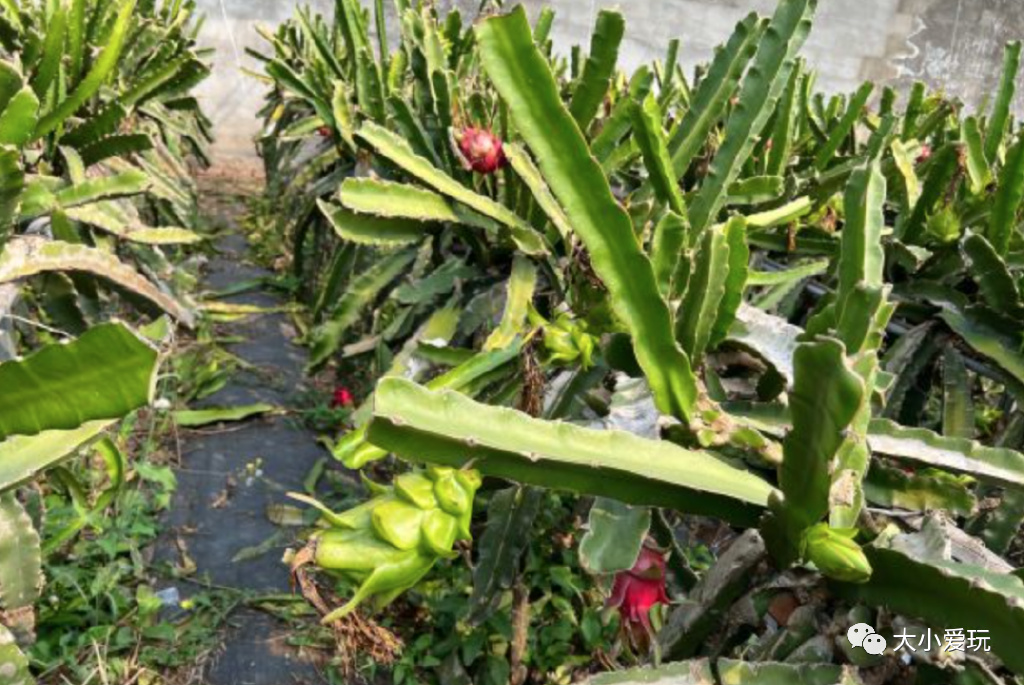 超全北京游玩攻略,国庆京郊一日游