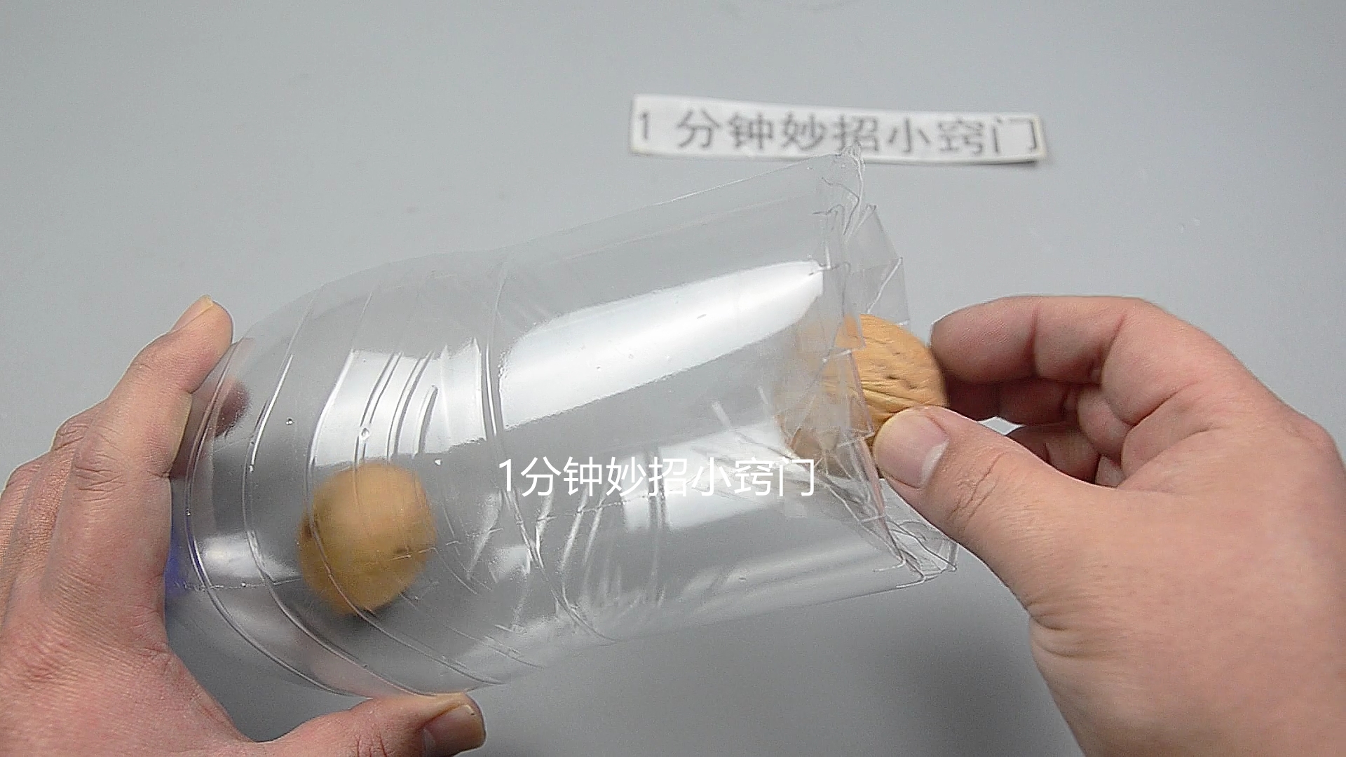 不用买老鼠药，只需要一个塑料瓶，老鼠来一只灭一只，安全又省事