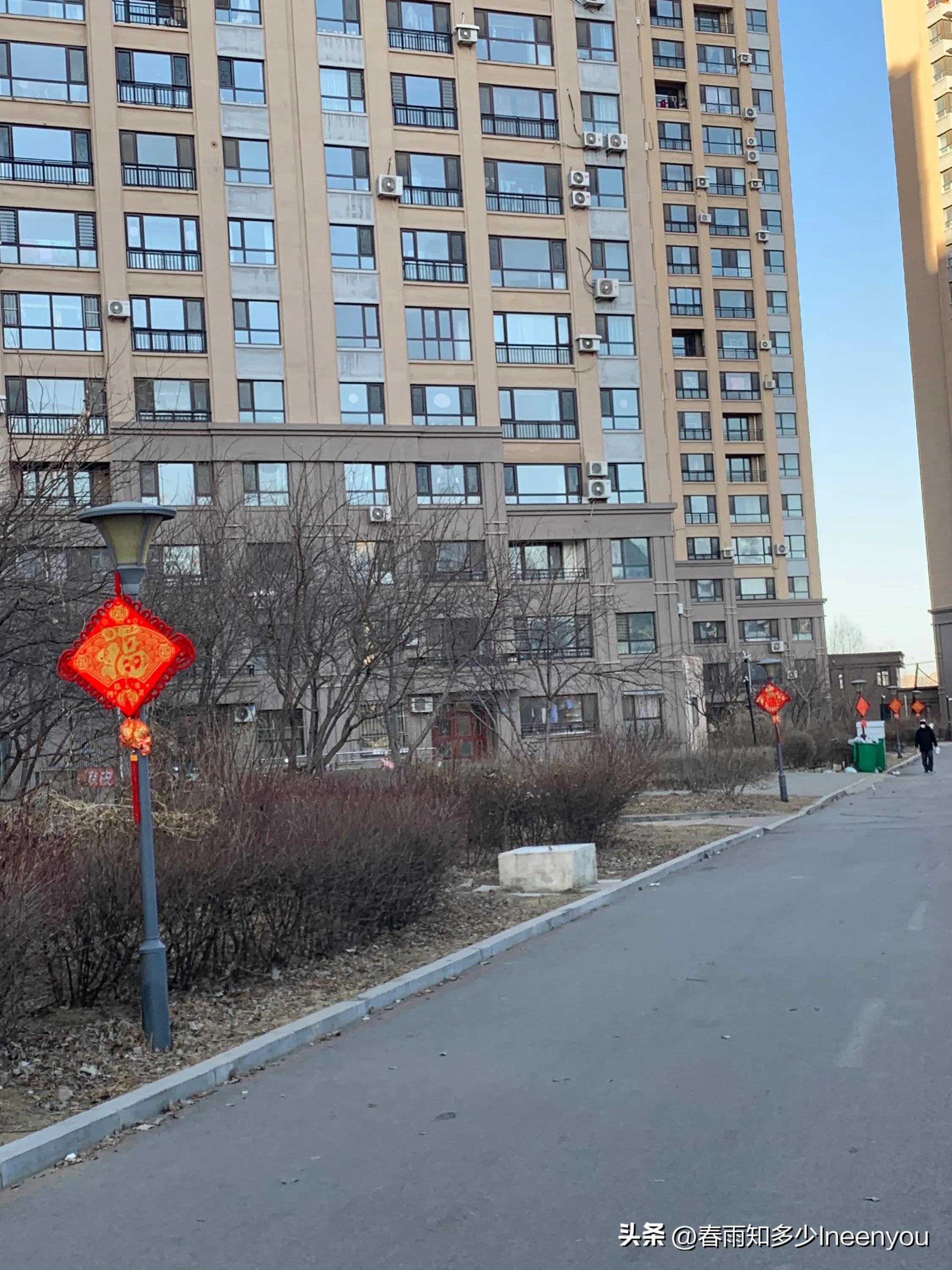 生活本就是不停的奔波,元旦将至忙忙碌碌