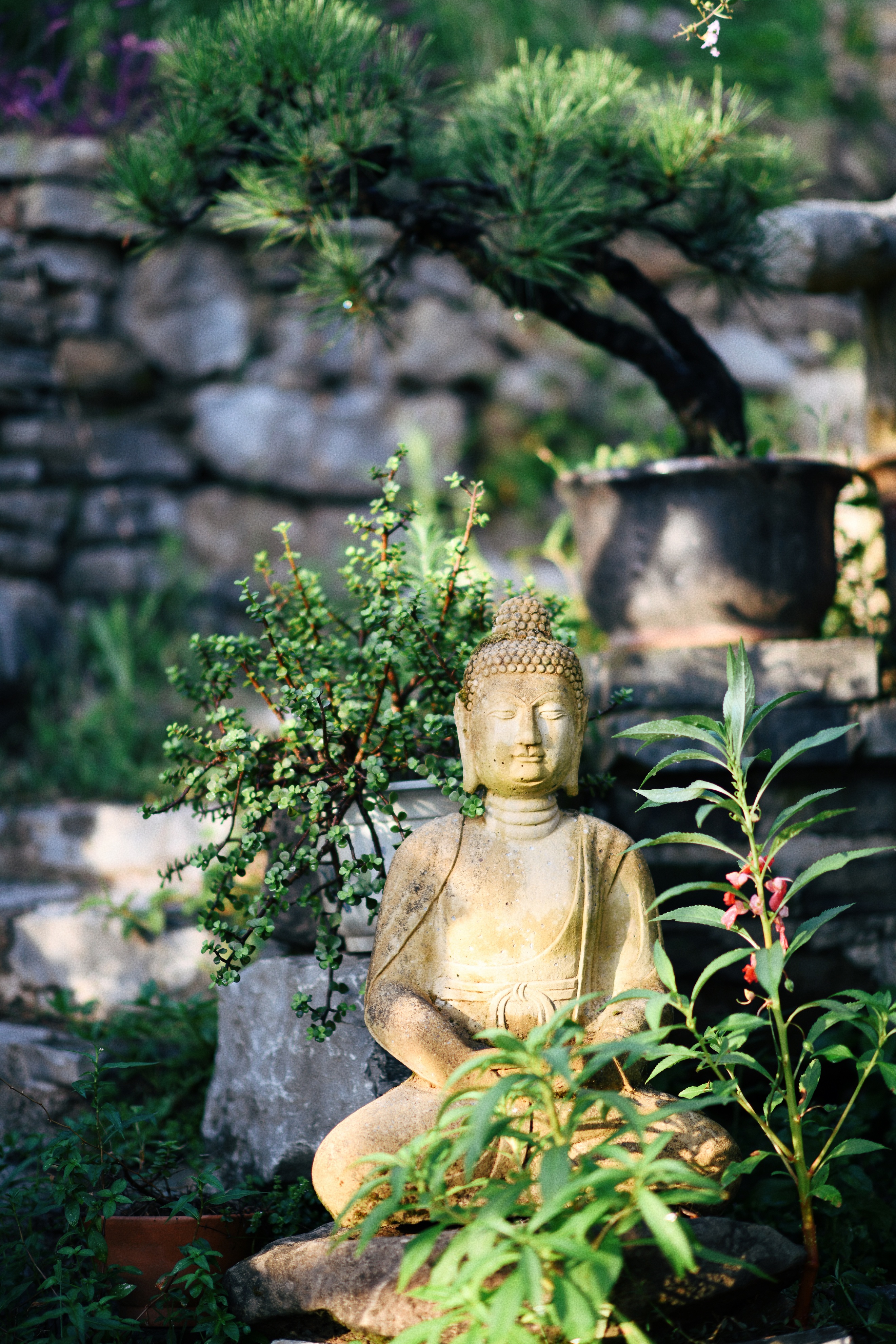 界石见山空谷民宿,巴南界石世外桃源