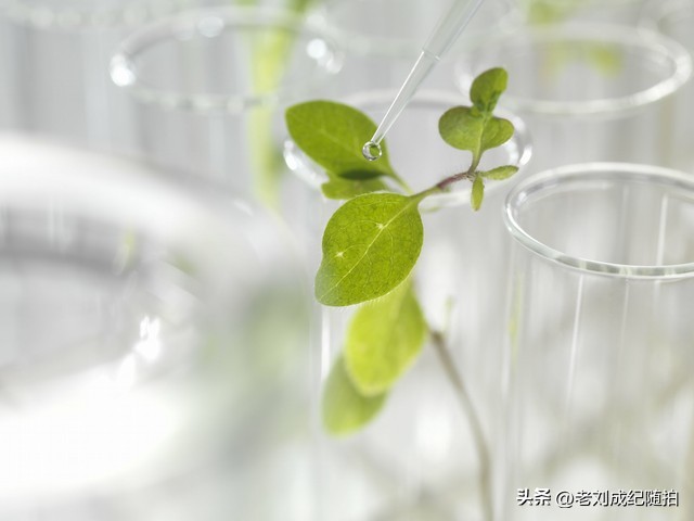 智能化以后对哪些专业影响最大,建筑电气与智能化专业就业前景