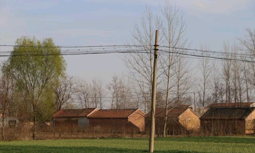 添坟土可以在别处取土吗,添坟从哪里取土