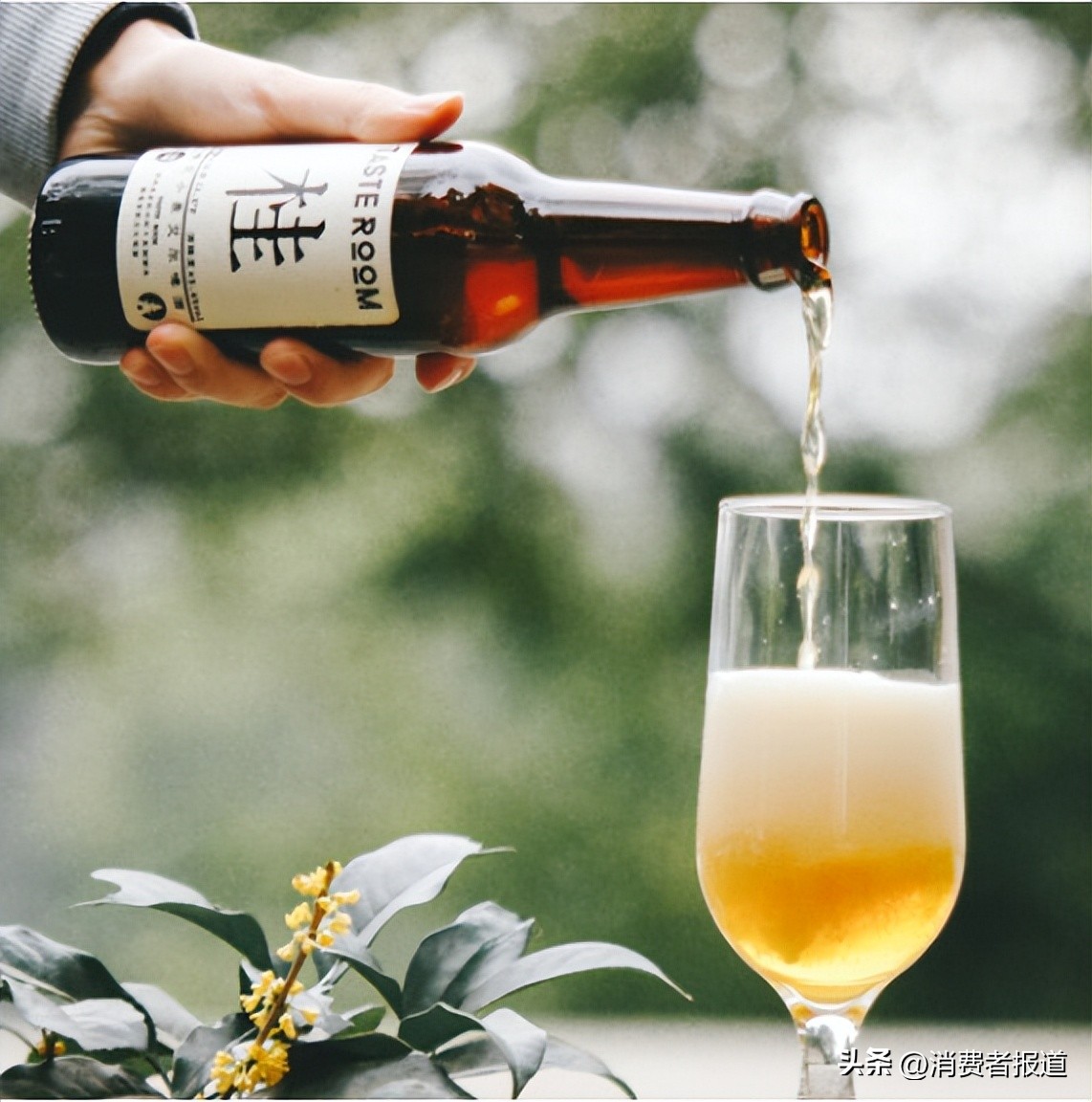 国产啤酒排行榜前十好喝测评,国产青岛啤酒推荐品牌