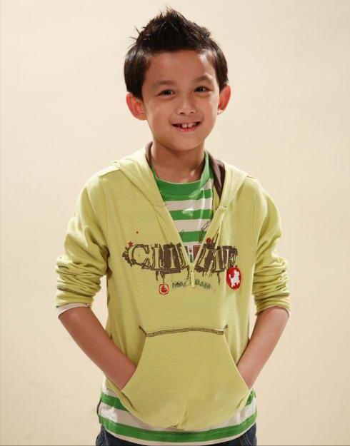 说出15个川渝地区的男明星,巴蜀美男子