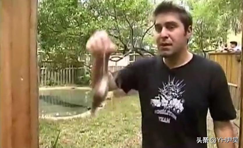 这是真的吗？当人被鳄鱼追赶时，z字型逃跑能快速摆脱鳄鱼