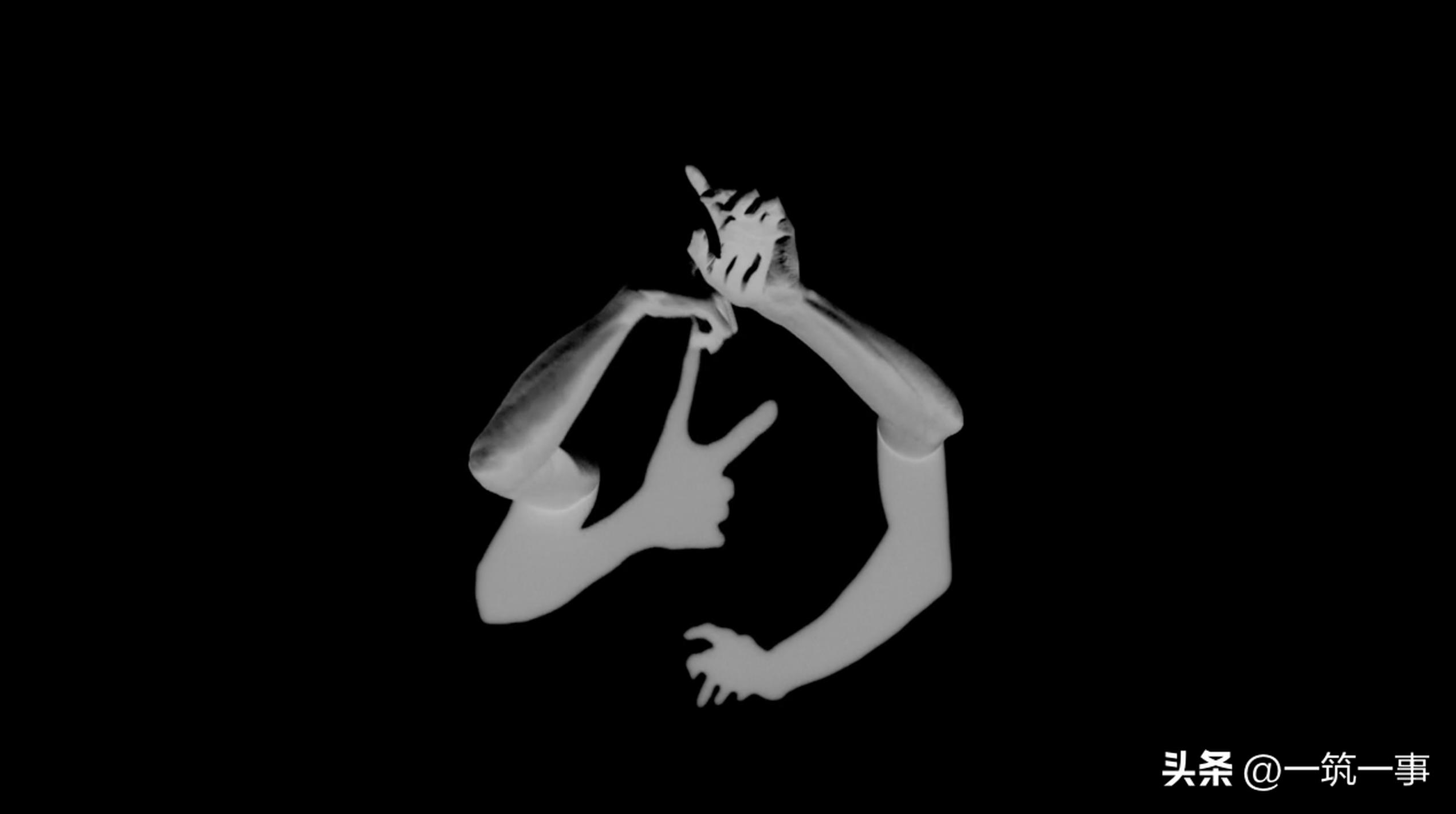 以十一位艺术家的镜头为眼重新“想像荷兰”