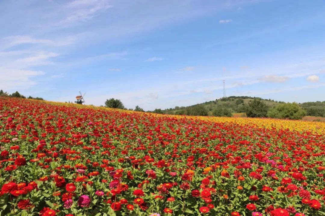可以驱车直接上山的露营地,大自然馈赠的绝佳露营地