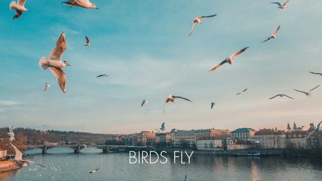 ppt如何做目录页,自动生成ppt目录的网站