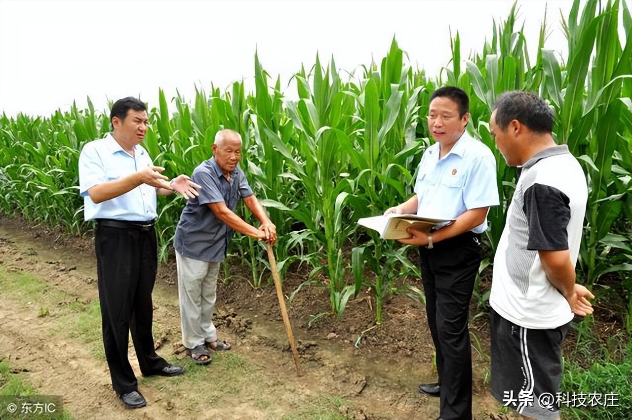 不想打工了想回老家做什么生意好,现在不想上班想回农村种地