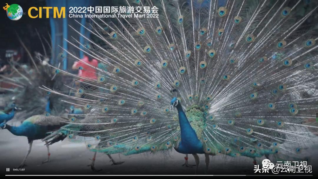 2022中国国际旅交会西双版纳,西双版纳边境贸易旅游交易会