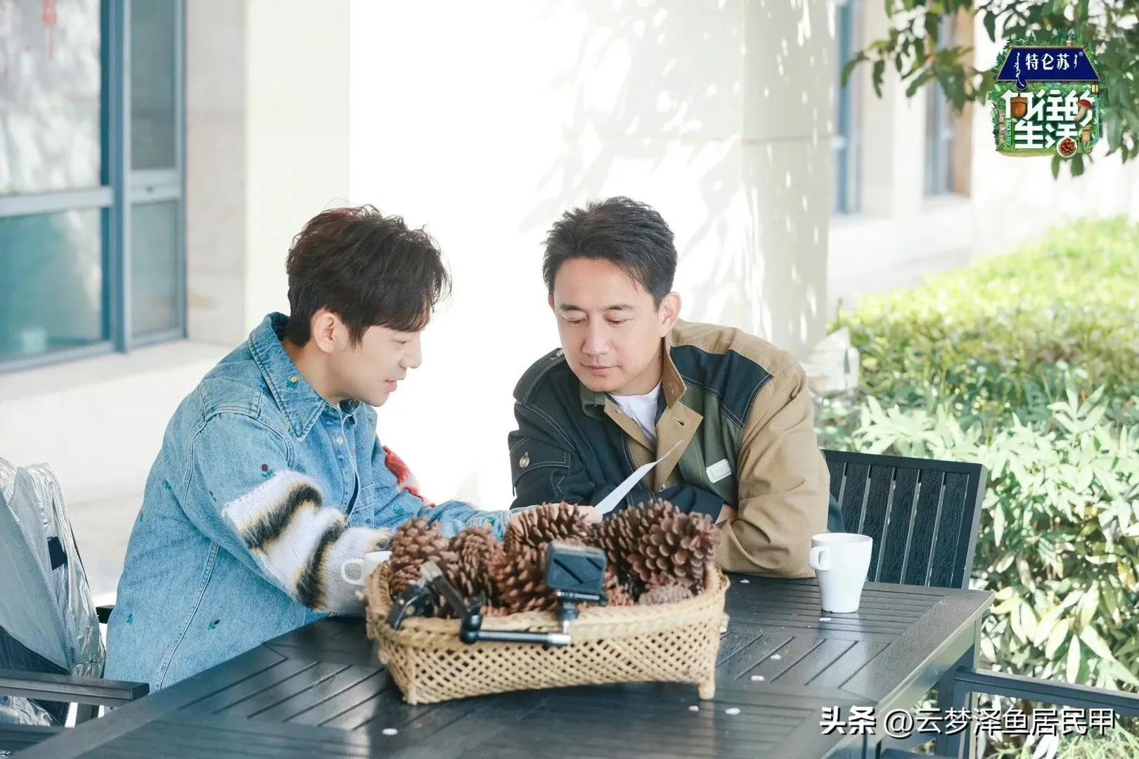 向往的生活不拍第8季了吗,向往的生活狗子们去哪了