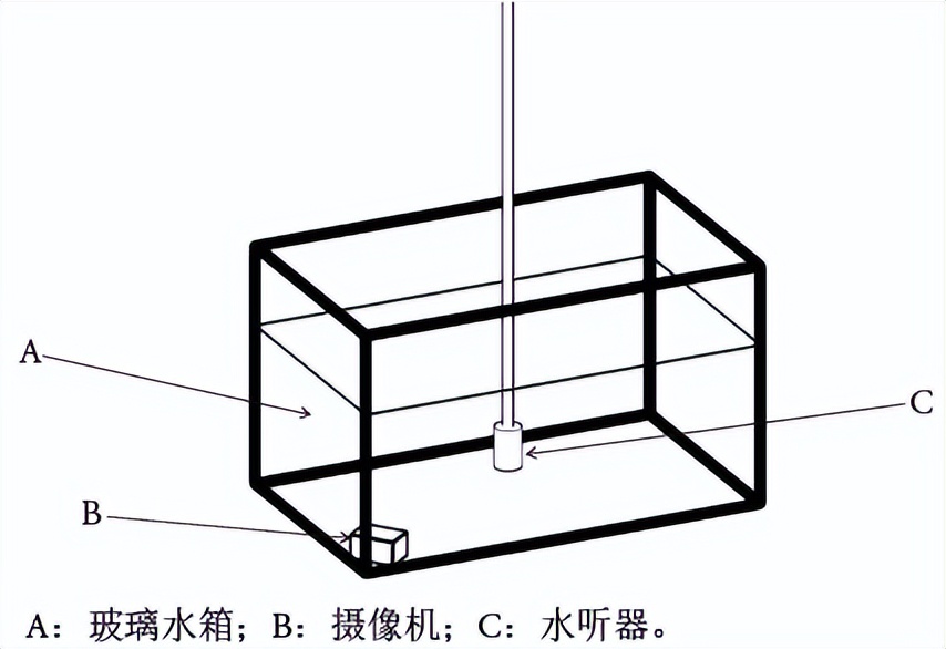凡纳滨对虾怎么做好吃,凡纳滨对虾的水煮吃法
