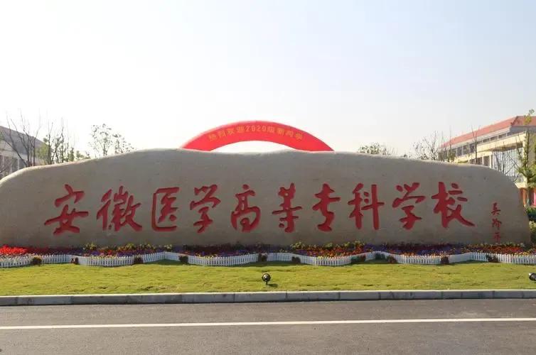 安徽2023高考专科建档线,安徽公办专科学院单招录取率