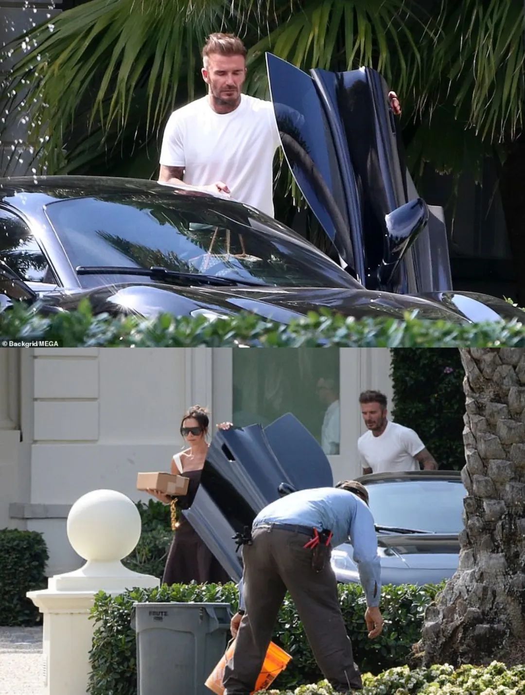 美国巨富千金VS英国名人公子，顶豪家族的婚礼到底有多震撼？