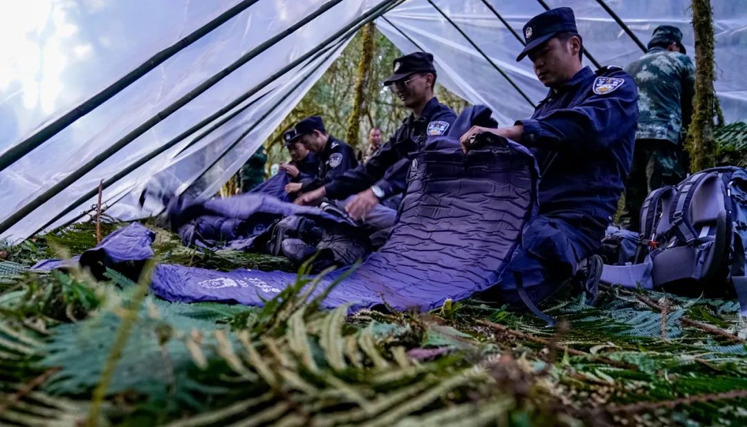 帧帧壁纸！穿越原始森林，探秘高黎贡山！