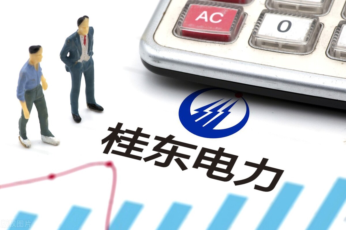 A股十大电力龙头股有哪些,a股十大行业龙头企业