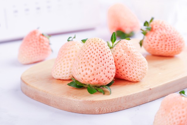 莓果色推荐 (小蓝莓值得购买吗)