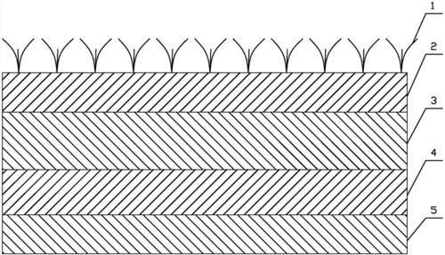 混合草坪养护措施,混合草坪施工
