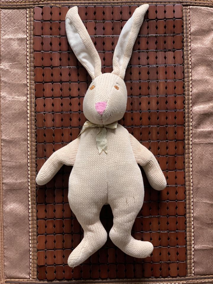 豌豆成长小知识,豌豆成长记录100例