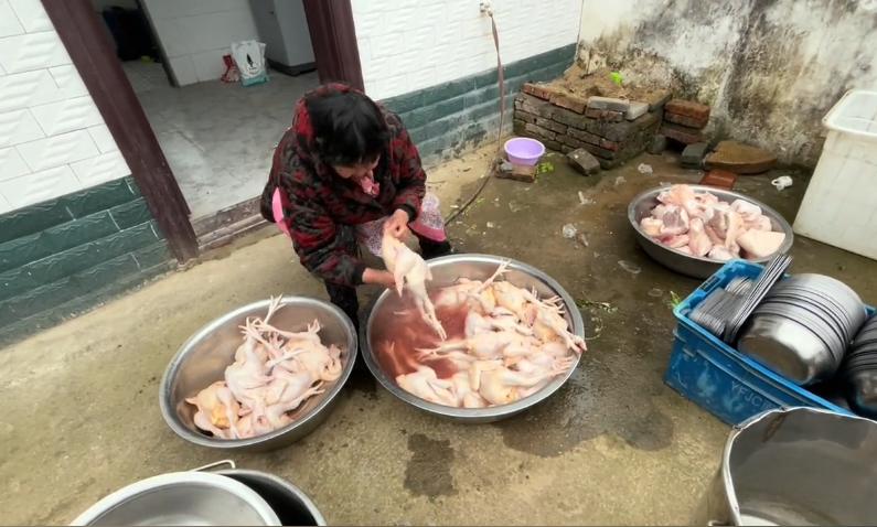 鹏胖胖和东方家庭情况,鹏胖胖和东方离开家了吗