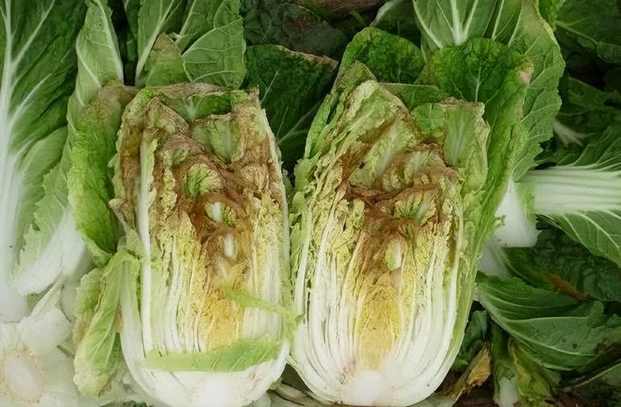 喷了甲醛的白菜怎么处理,喷过甲醛的白菜什么样