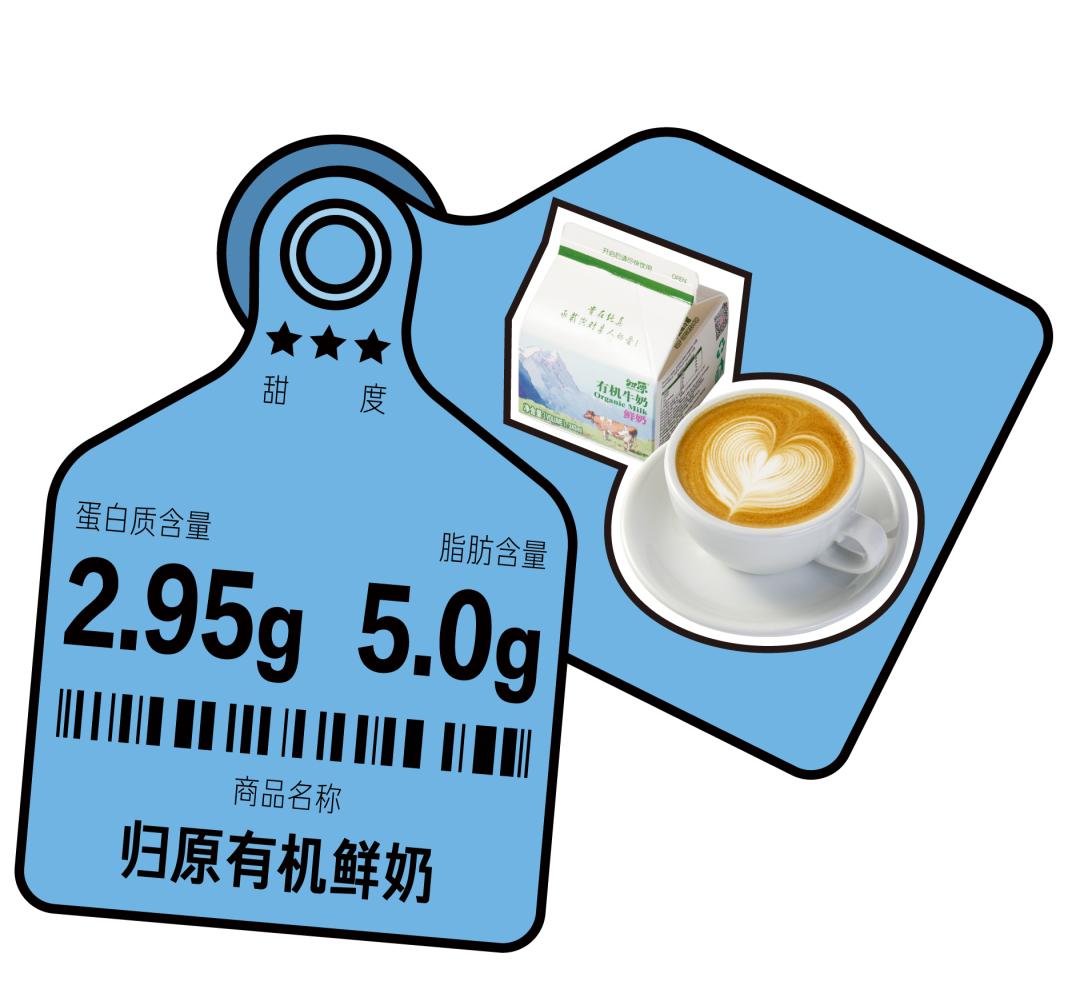 哪个牌子的鲜奶做咖啡好喝,适合加奶的咖啡测评