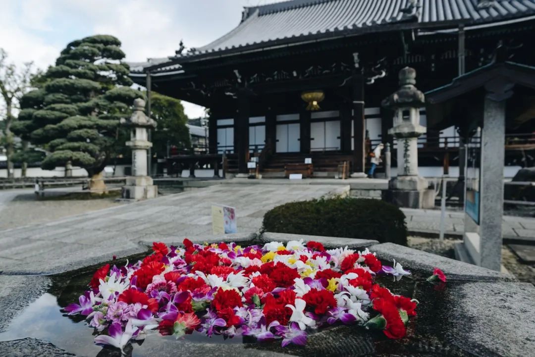 涔愰珮202001,0.01鏃ユ湰