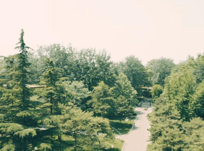 北京语言大学23年招生简章,北京语言大学招生简章2023