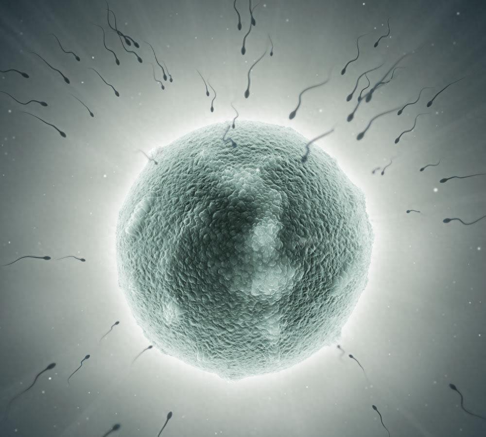 穿越时空的勇士,穿越时空的小战士