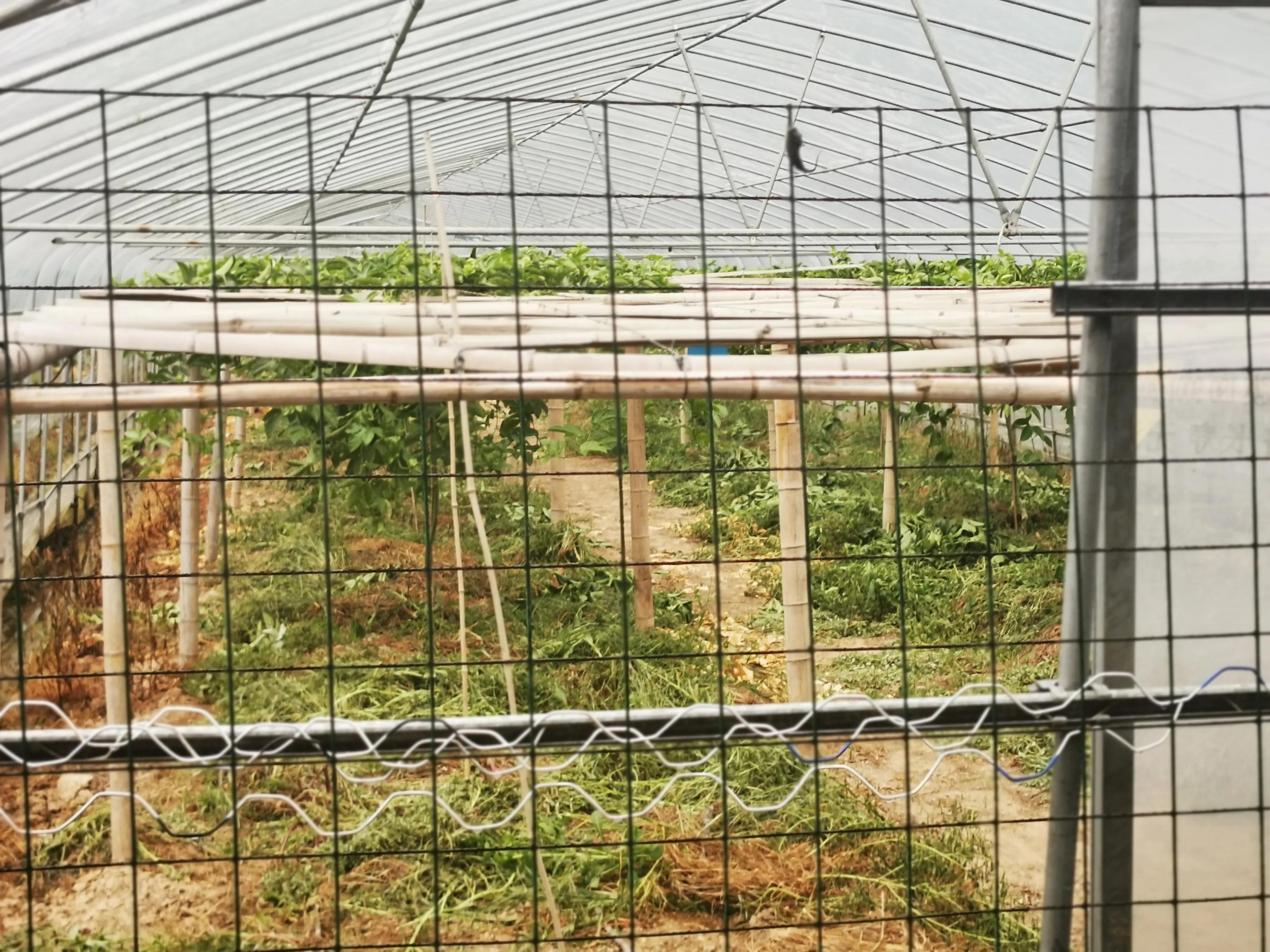 农业十大创业模式,农业项目合伙人模式