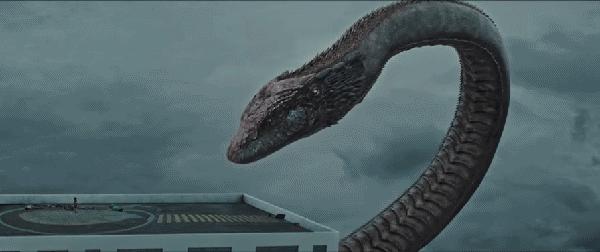 当年人蛇大战电影用了多少蛇 (人蛇大战最新一期)