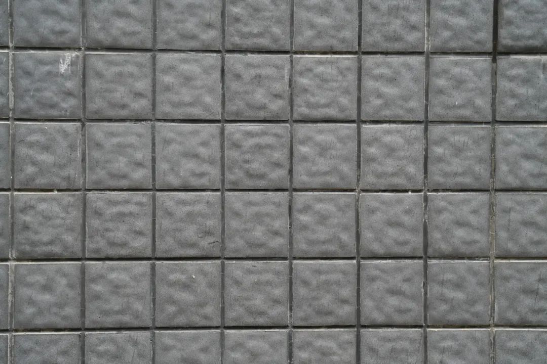 尼康z卡口85mmf1.8镜头评测欣赏,尼康全画幅50mmf1.8s和85mm1.8s