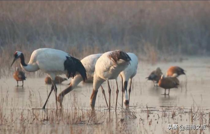 此生必打卡10个旅游地方,此生必去的中国50个最美地方