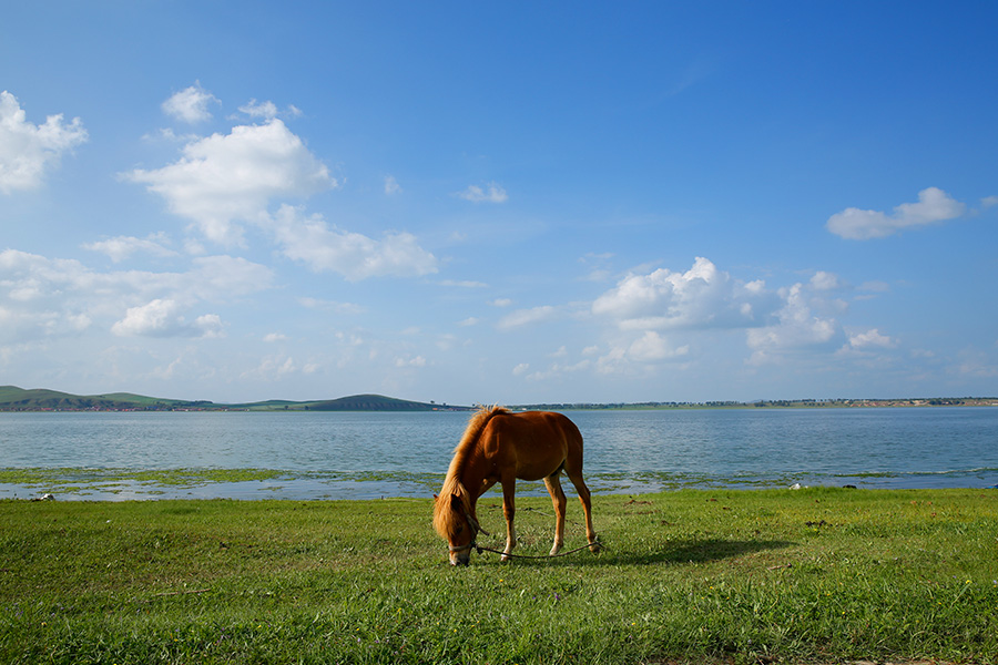 库伦淖尔旅游度假区直播,库伦淖尔旅游度假区酒店