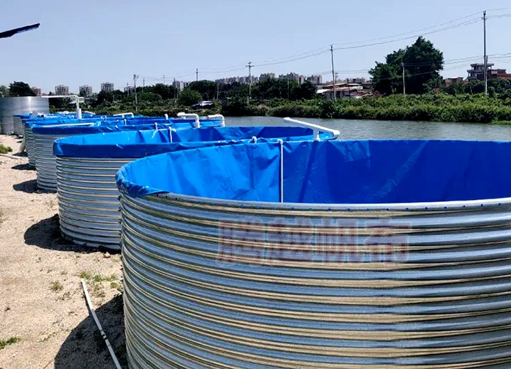 镀锌板养殖帆布鱼池厂家高效高密度循环水养殖池鱼池帆布厂家