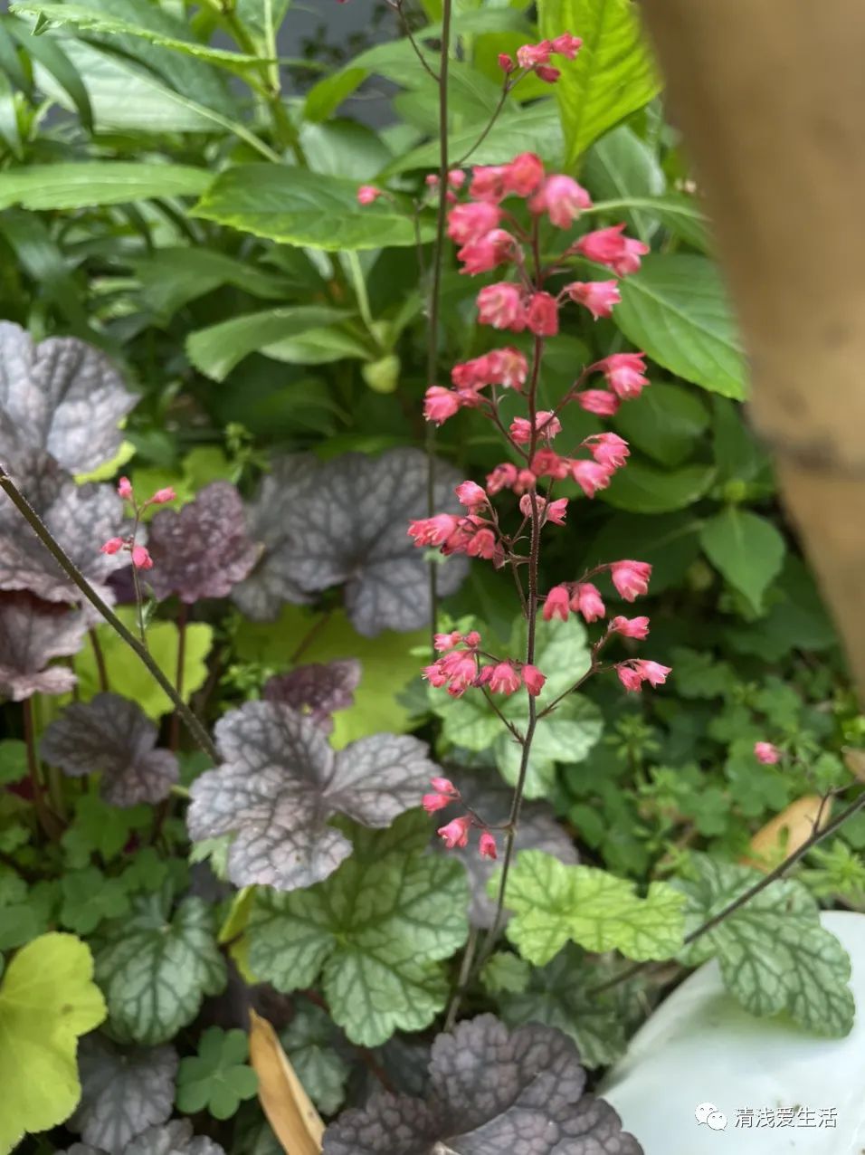 景德镇雕塑瓷厂一条街图片,景德镇雕塑瓷厂集市