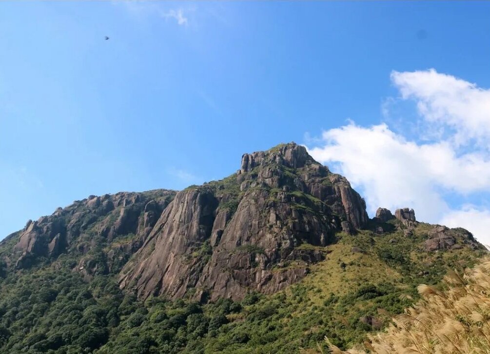 我被入坑了,也给各位科普一下吧