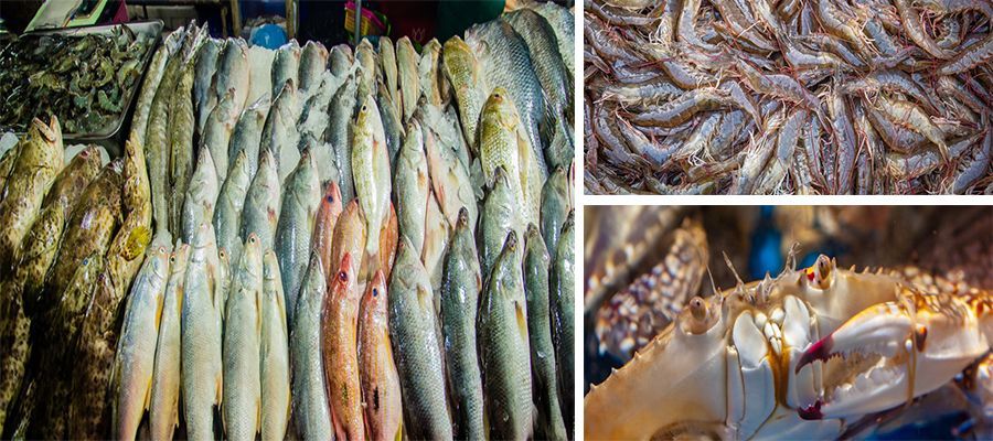 连云港旅游攻略从高铁站开始,连云港周边高铁一日游