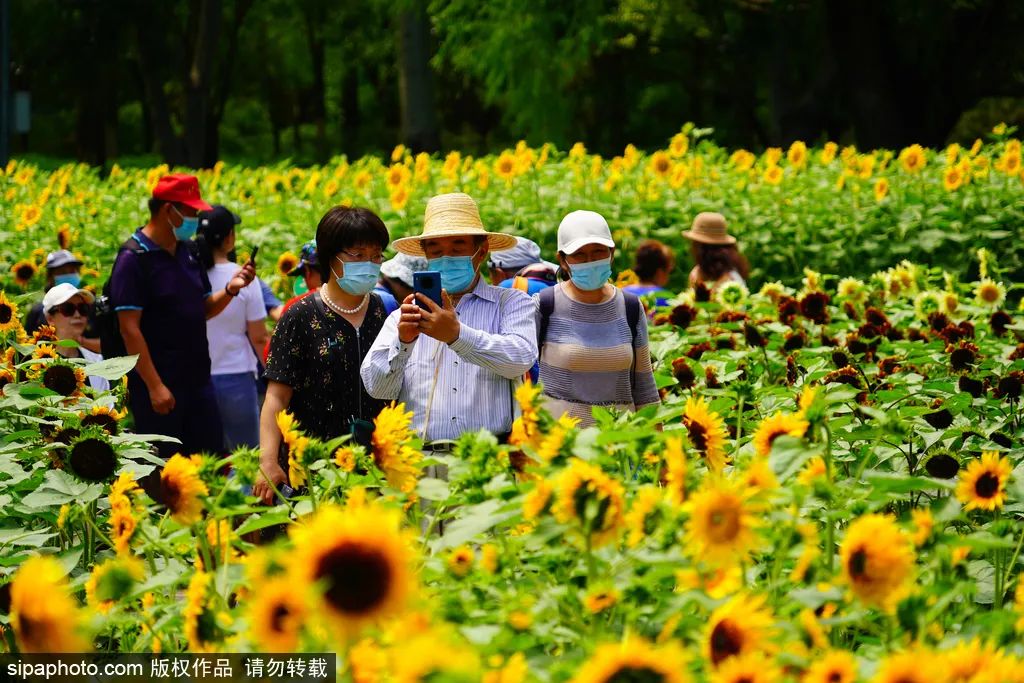 北京周末公园推荐,夏季北京公园好去处