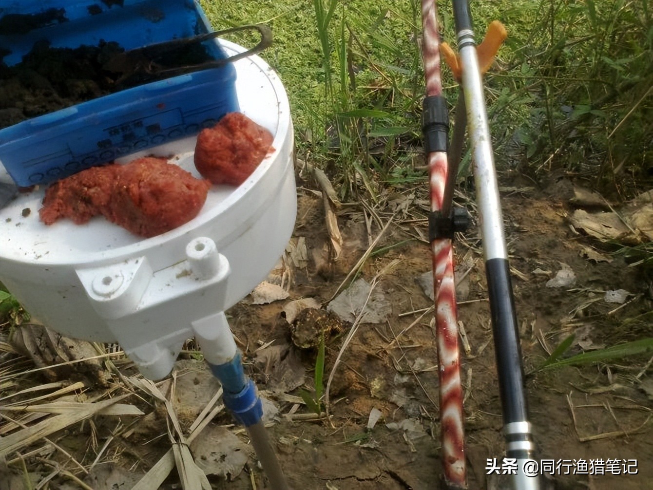 300块钱鱼竿什么最合适,300块钱的鱼竿好不好