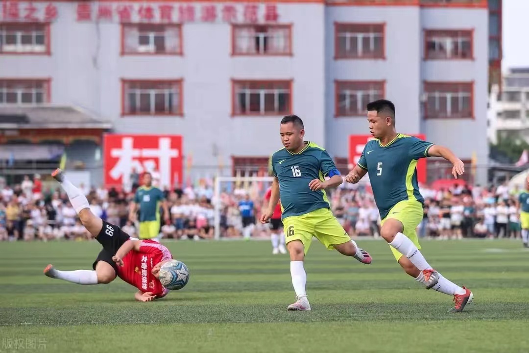 人怕出名猪怕壮的下场,人怕出名猪怕壮故事视频