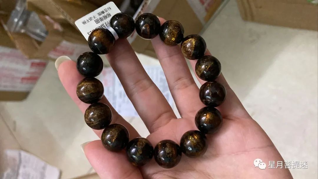 市面上主流的廉价海柳，你了解多少