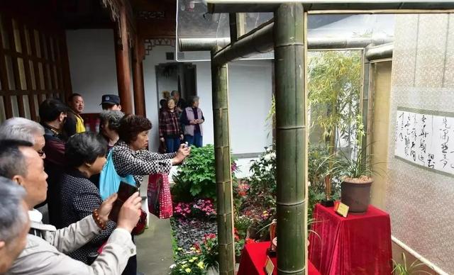 杭州兰展上，一盆蕙兰惊艳众人，兰花主人说什么也不卖