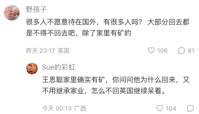 海外华人回不了国的感悟,海外华人回中国留学