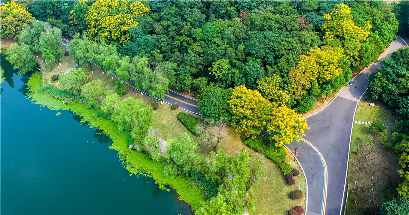 极美汤山,这些绝美的健身步道