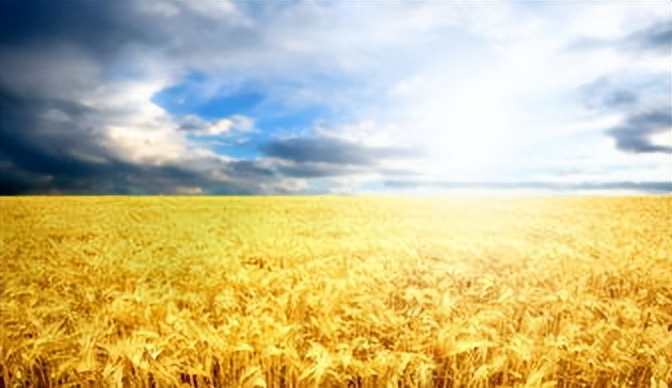 来自塔里木《塔河文苑》：睡着的胡杨