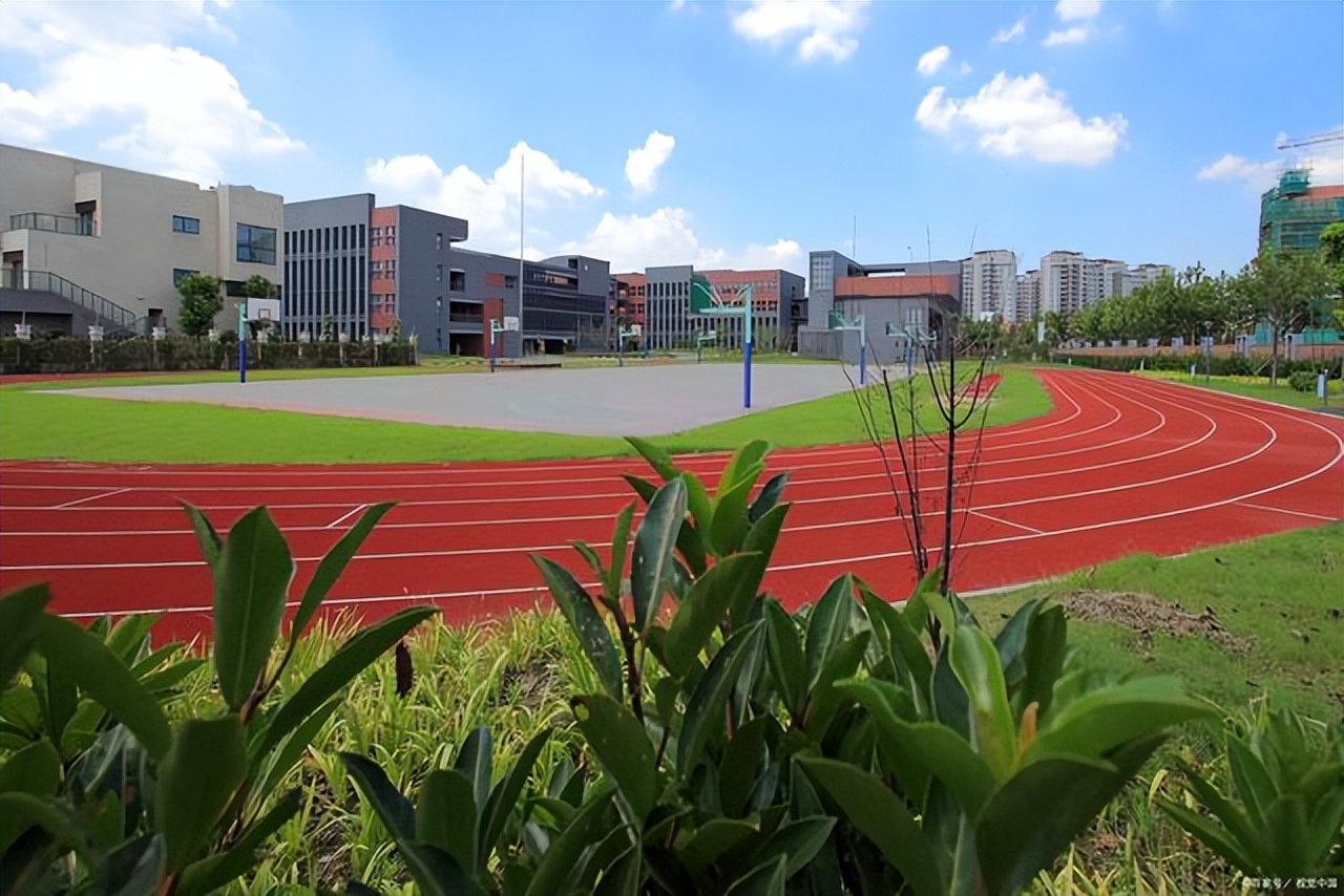 2022年绵阳中考各学校分数线,2023绵阳中考各校a线率