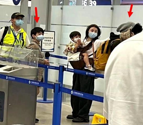 张柏芝被狗咬伤痛苦尖叫,张柏芝被狗咬伤事件