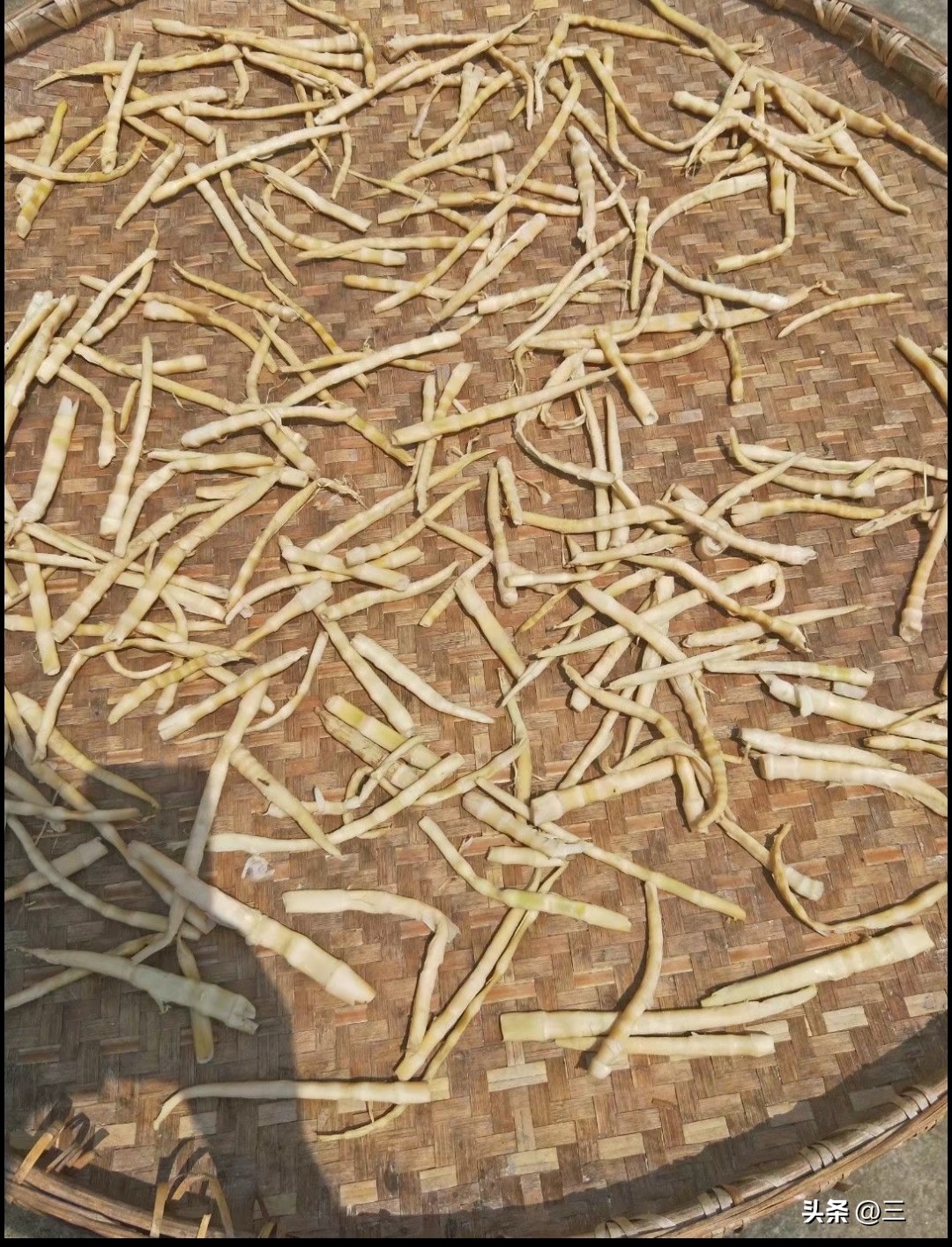 二姐素描画,老妈素描图片